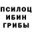 Псилоцибиновые грибы Psilocybe Mr. Dreyts