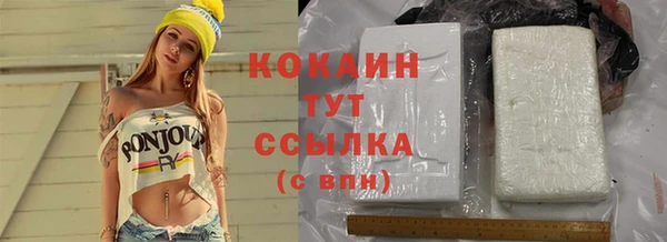 соль ск Алексин