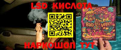 эйфоретик Краснодар