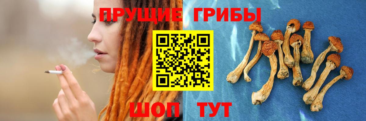 Галлюциногенные грибы Cubensis Красноармейск